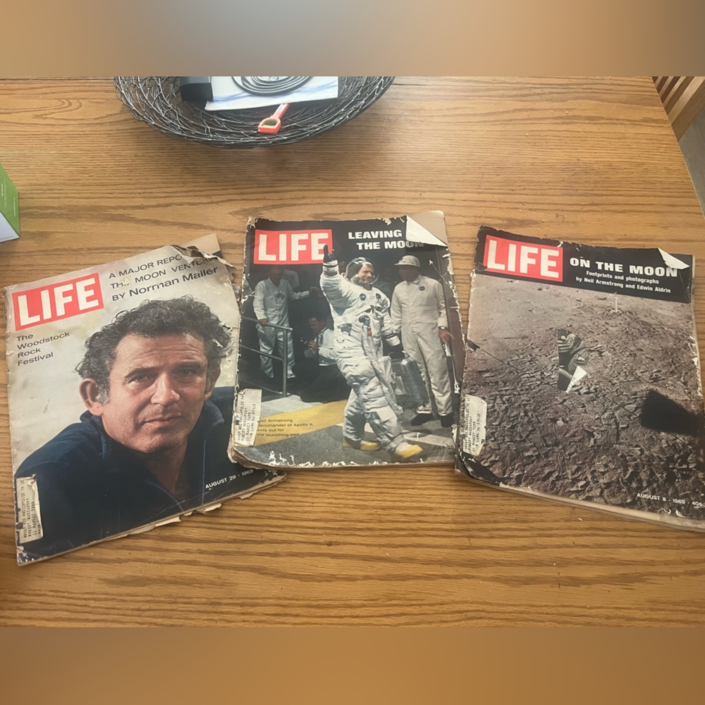 Vintage LIFE Magazine Set 1969